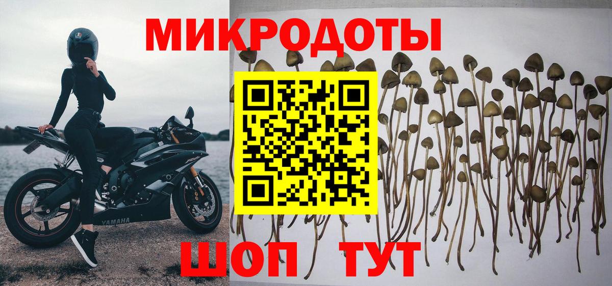 Галлюциногенные грибы прущие грибы Учалы