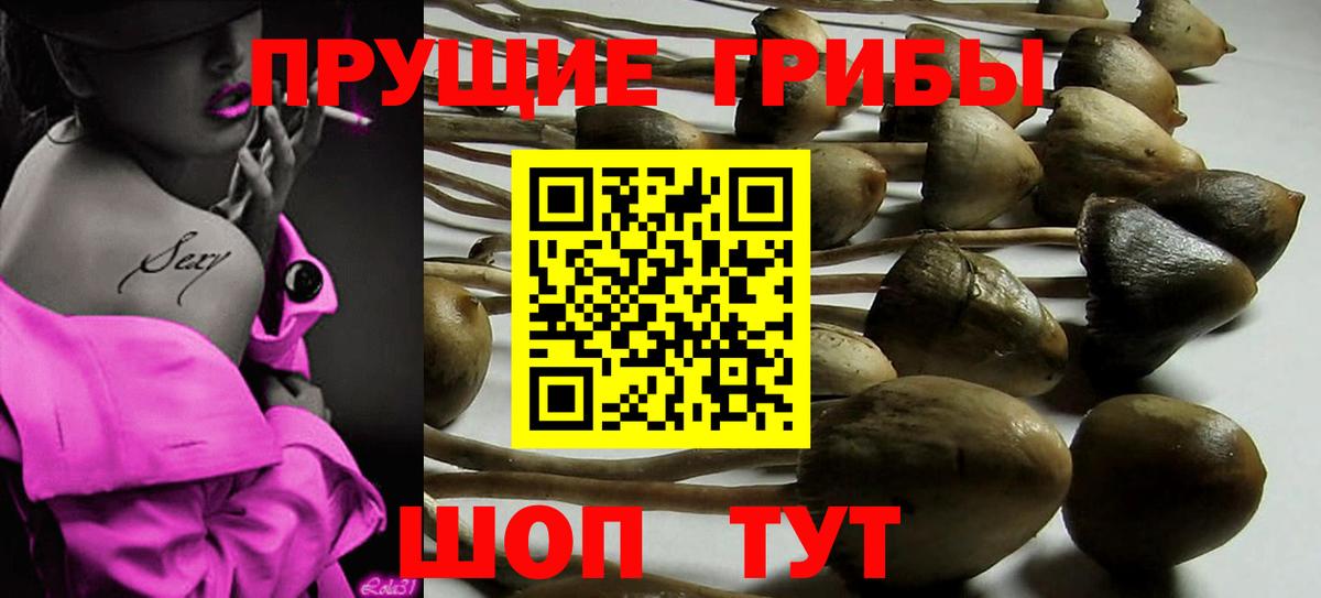 Галлюциногенные грибы GOLDEN TEACHER  Вход с VPN  Учалы 